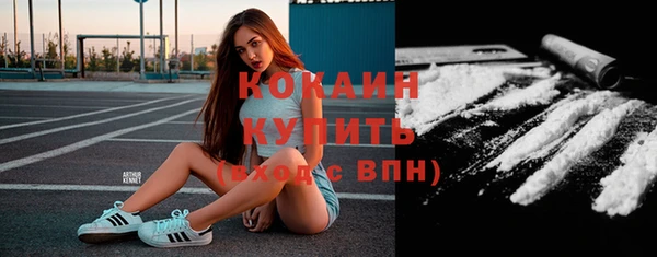 спиды Пересвет